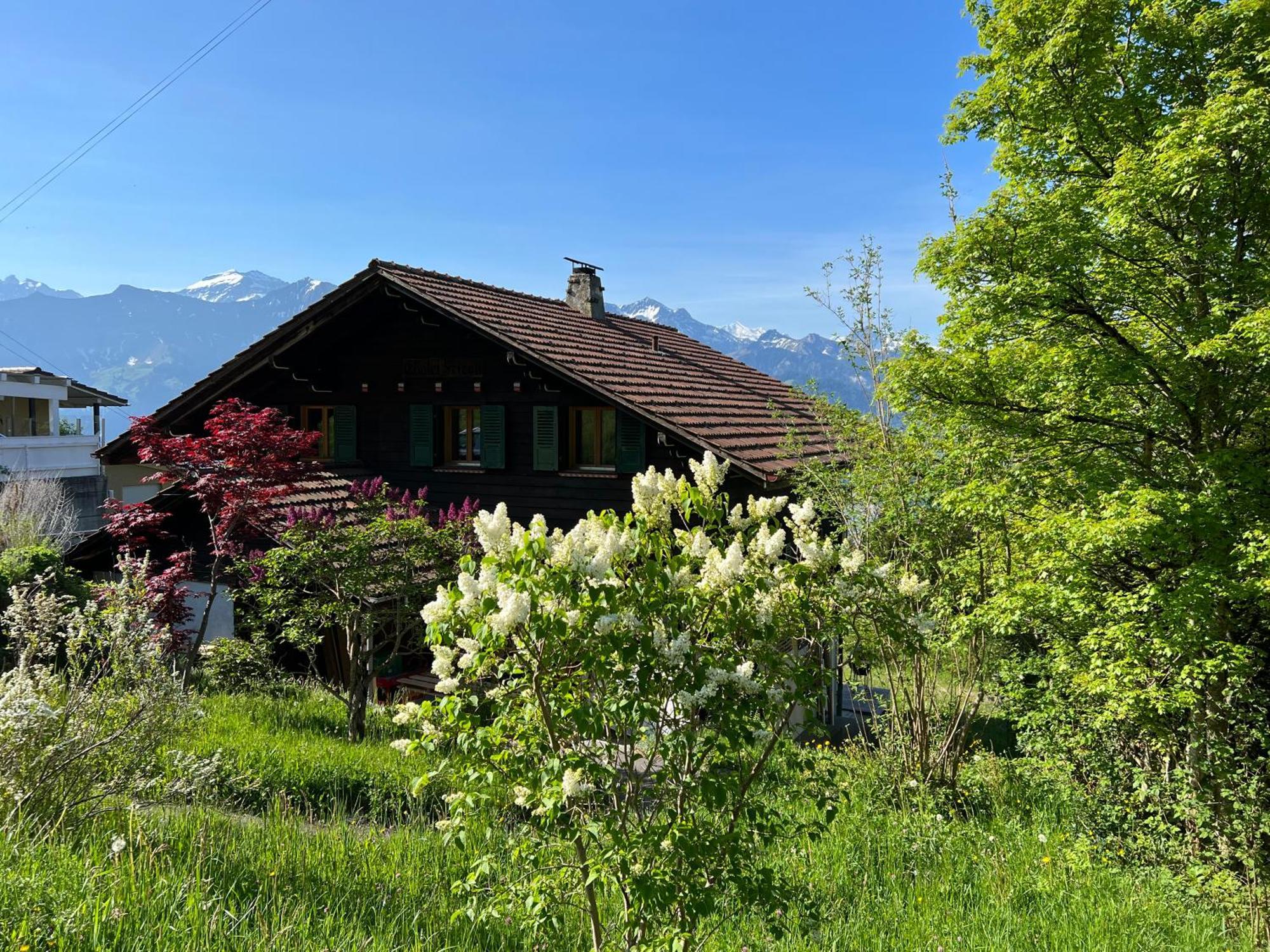 Chalet Friesli Beatenberg Ngoại thất bức ảnh